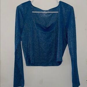 Shimmering Blue Hollister Long Sleeve Top